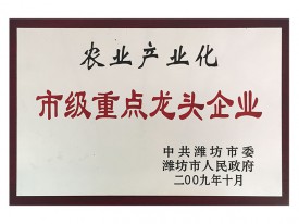 市级重点龙头企业